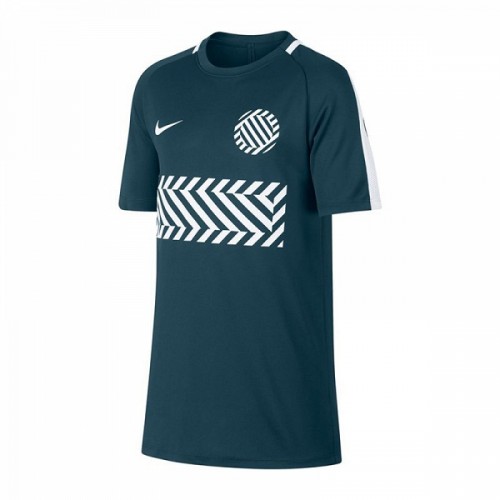 Nike JR Dry Academy GX2 T-Shirt 425