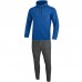 Jogging suit Premium Basics with Kapuzenseat royal mottled