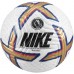 Nike PL NK FLIGHT - FA22 100