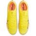 Nike ZOOM VAPOR 15 ELITE FG 780